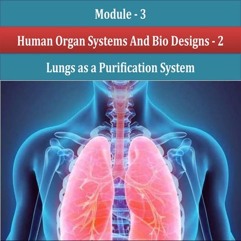 Module - 3 Lungs as a Purification System.pptx