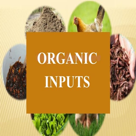 CONCOCTIONS powerpoint.pptx