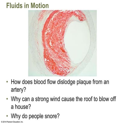 Module-6_Fluid-Dynamics111112222333.pptx