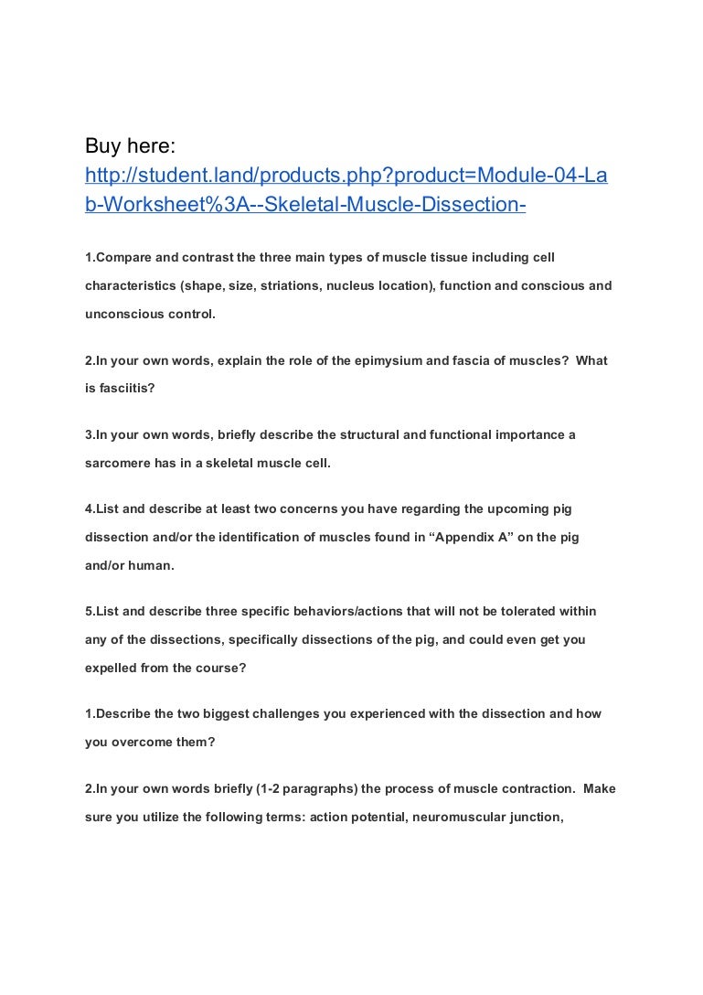 Worksheets Muscle Contraction Worksheet module 04 lab worksheet skeletal muscle dissection