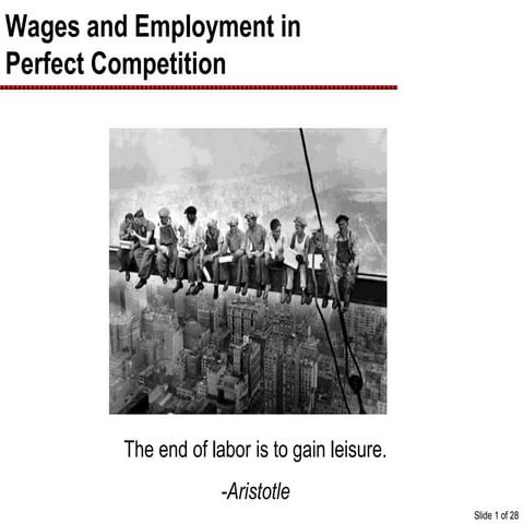 Wages and Employment in Perfect Competition