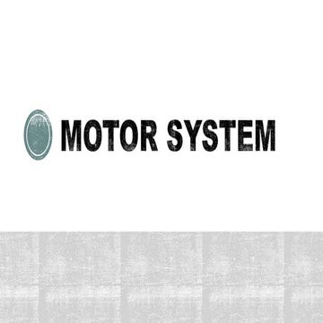 NEUROANATOMY: MOTOR SYSTEM