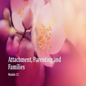 Child Psychology Module 13 