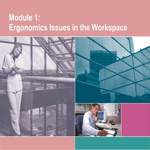 Module 1: Ergonomics Issues in the Workspace