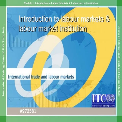 Module 1 introduction to labour markets & labour market institution final
