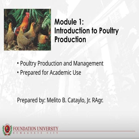 poultry and livestock.......................pptx