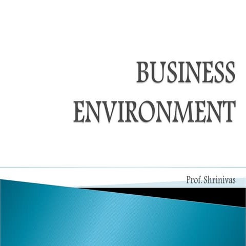 BUSINESS ENVIRONMENT