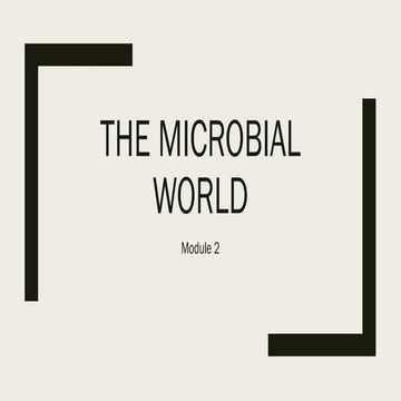 The Microbial World Module 2 - Risk Management