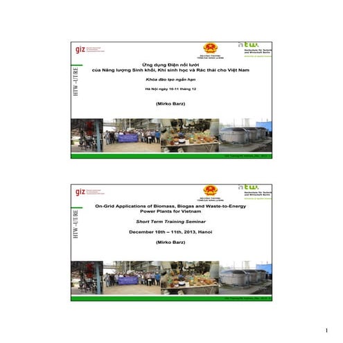 Module 2: Assessment of international good practices in the fields of biomass...