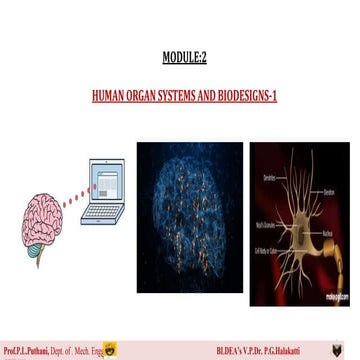 Module 2 (1).ppt