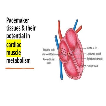 Module 2a Pacemake Uddin dink hor tissues.pptx
