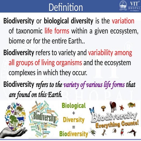 Biodiversity Environmental Sustainability ppt