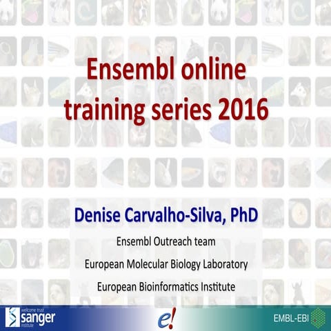 Genes and Transcripts: Ensembl Online Webinar series 