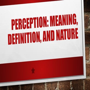 Perception and Attitude| Organizational Behaviour