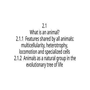 introduction to animals, their characters, phylogeny | PPTX