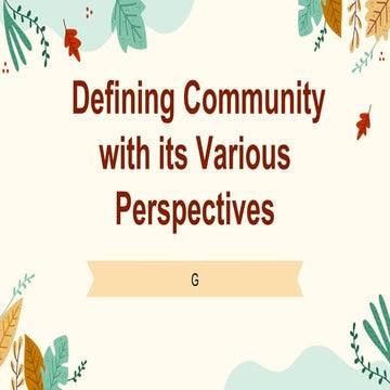 Defining Community with its Various Perspectives