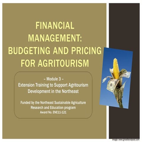 Module 3 - Budgeting.pdf13245334534464564