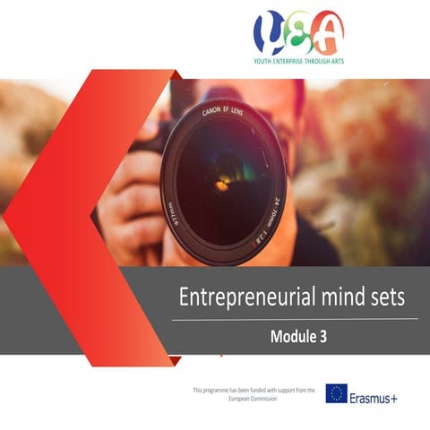 Module 3  entrepreneurial mindset