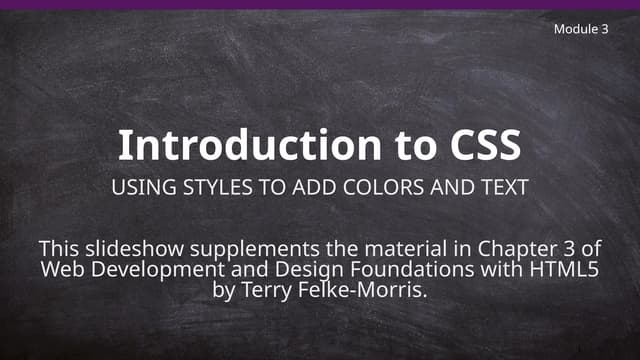 Module 3-Introduction to CSS (Chapter 3).pptx