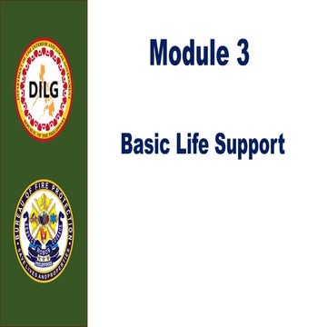 Module 3 Basic Life Support for the workplace