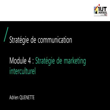 Cours information communication : le marketing interculturel