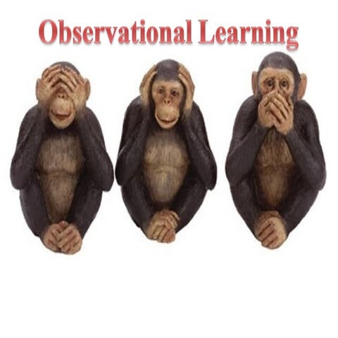 Chapter 13 learning theory | PPTX