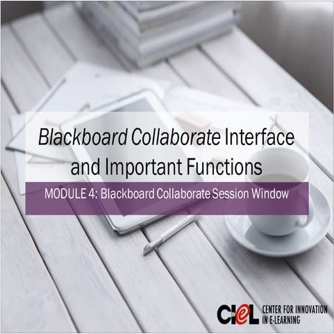 Module 4: BB Collaborate Interface and Functions