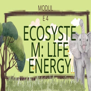 MODULE 4 - ECOSYSTEM Life Energy_20250617_203317_0000.pptx
