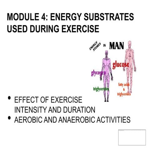 Module 4   mcc sports nutrition credit course - energy substrates used during...