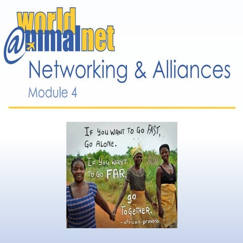 Module 4 - Networking and Alliances