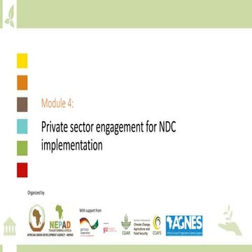 Module 4: Private sector engagement for NDC implementation