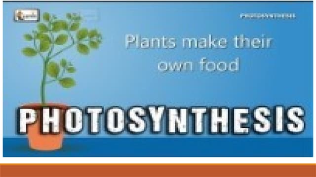 EARTH AND LIFE SCIENCE CHAPTER 6 BIOENERGETICS | PPTX