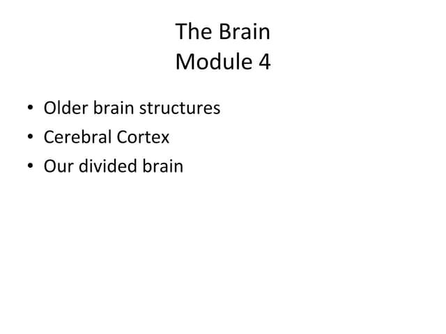 Module 4 the brain