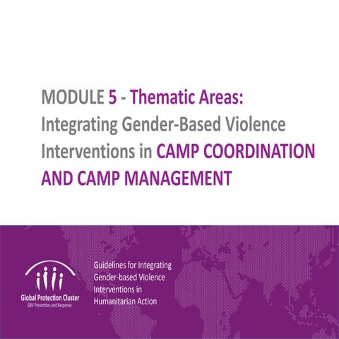Guidelines for Integrating Gender-based Violence in Interventions in ...