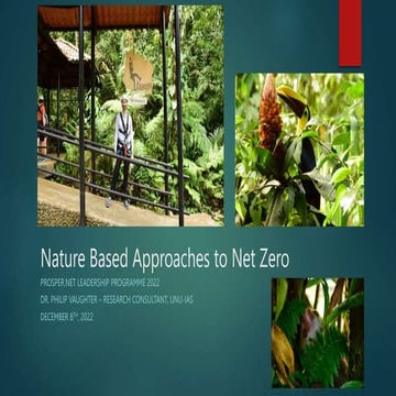 Nature-Based Approaches to Net Zero