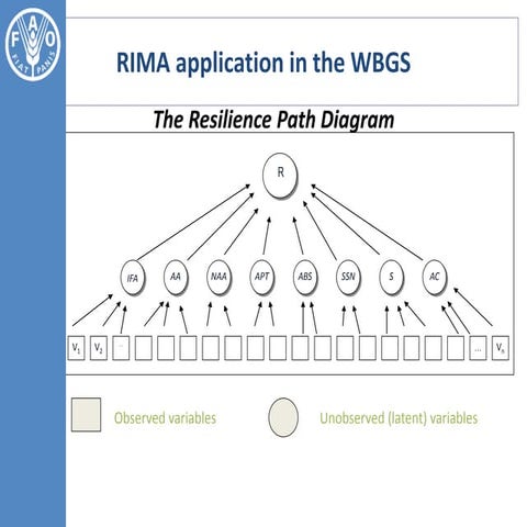 Module 5 rima in wbgz azz 3
