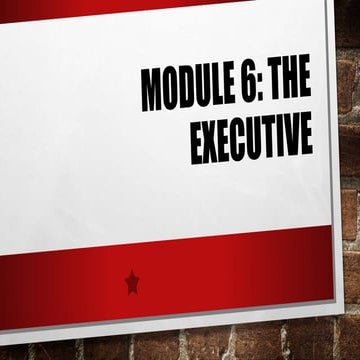 Module 6: THE EXECUTIVE