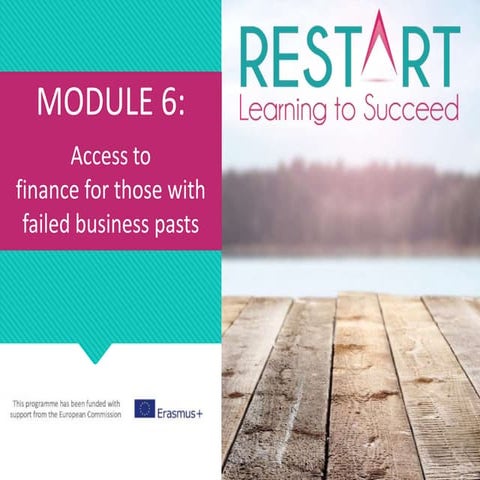 Module 6 access to finance