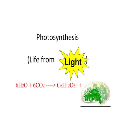 Module 6, lesson 1 photosynthesis | PPT
