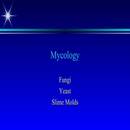 Lecture 24 slime molds | PPT