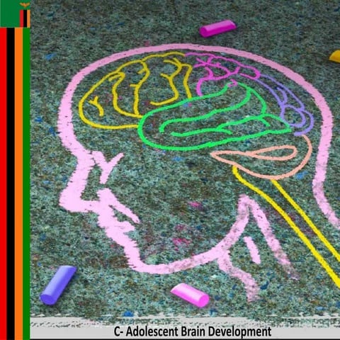 Module_C-Adolescent_Brain_Development[1].pptx