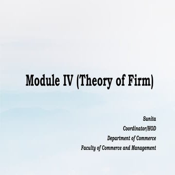 Comprehensive Exploration of the Theory of the Firm: Functions ...