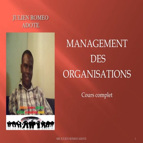 Management des Organisations