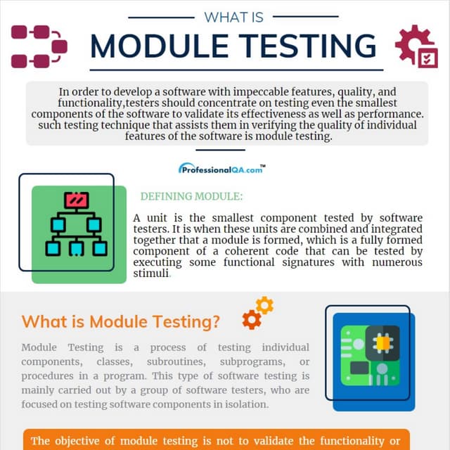 Module Testing: Your Comprehensive Guide | PDF