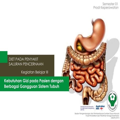 DIET PADA PENYAKIT SALURAN PENCERNAAN 