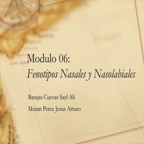 Modulo 06- Fenotipos Nasales Y Nasolabiales