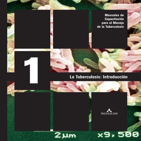 Modulo1: La tuberculosis Introducción