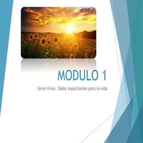 Modulo 1 biologia | PPTX