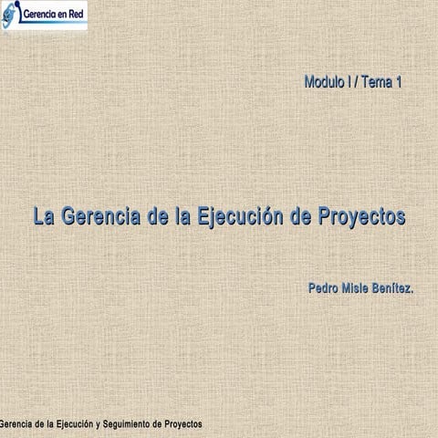 Los Proyectos y su Ejecución