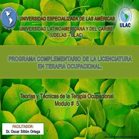 Modulo 5 - Marcos de Referencia aplicados a la Disfunción Física